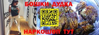 PSILOCYBIN Бердск